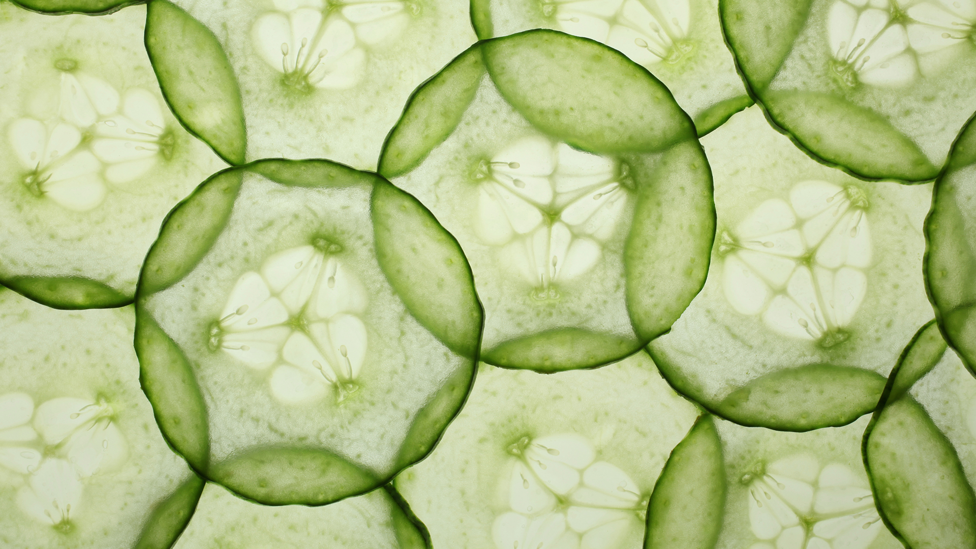 GettyImages-184636517