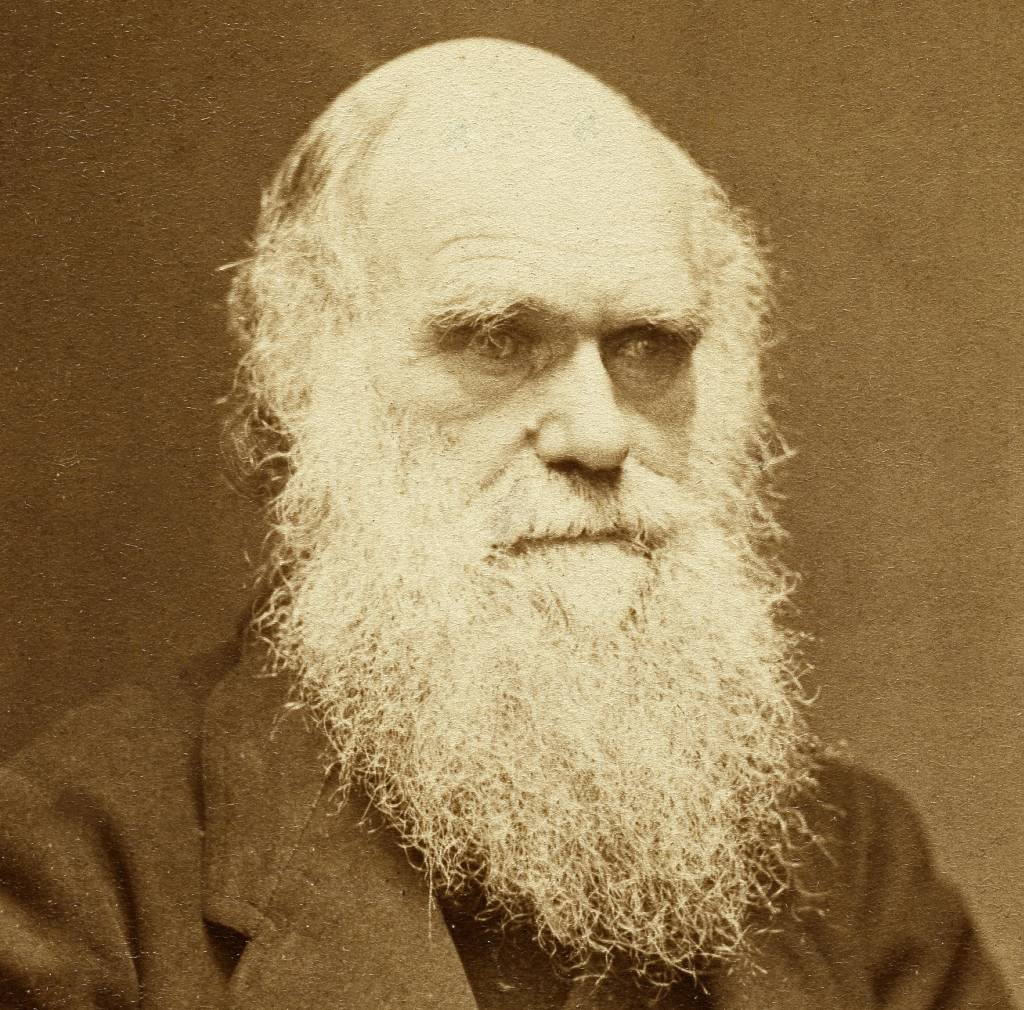 Darwin também tinha minhocas na cabeça