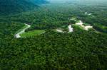 Amazônia Atlantic Forest in Brazil, Mata Atlantica