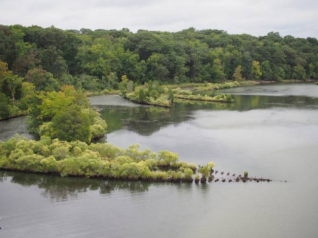 Foto aérea (tirada por drone) dos destroços de navios da “Frota Fantasma” agrupados ao longo da margem de Mallows Bay, no rio Potomac, Maryland, EUA