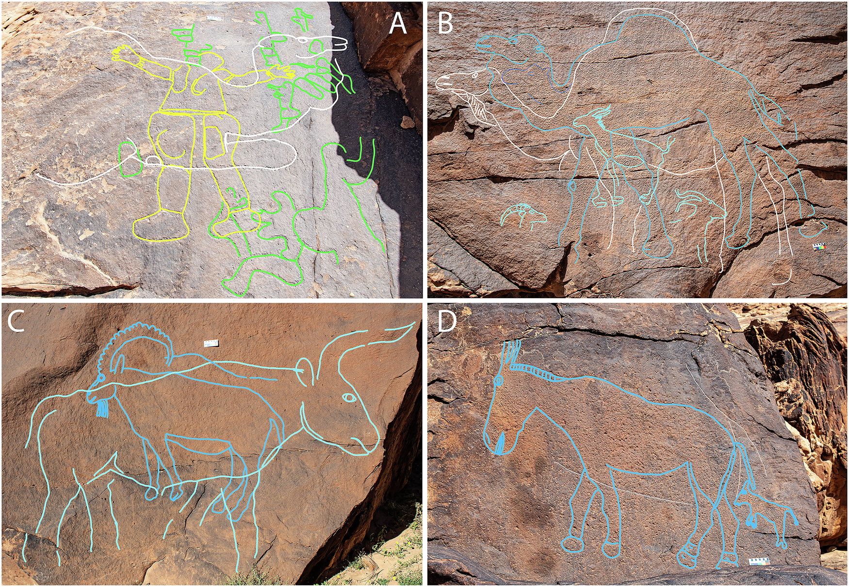 Guagnin et al., Nature Communications (2025)
