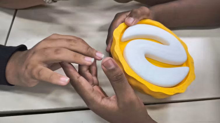 Projeto brasileiro cria modelos tridimensionais de parasitas, órgãos e até tumores para transformar a educação em saúde e ciências