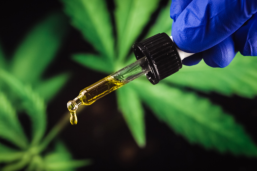óleo de cannabis