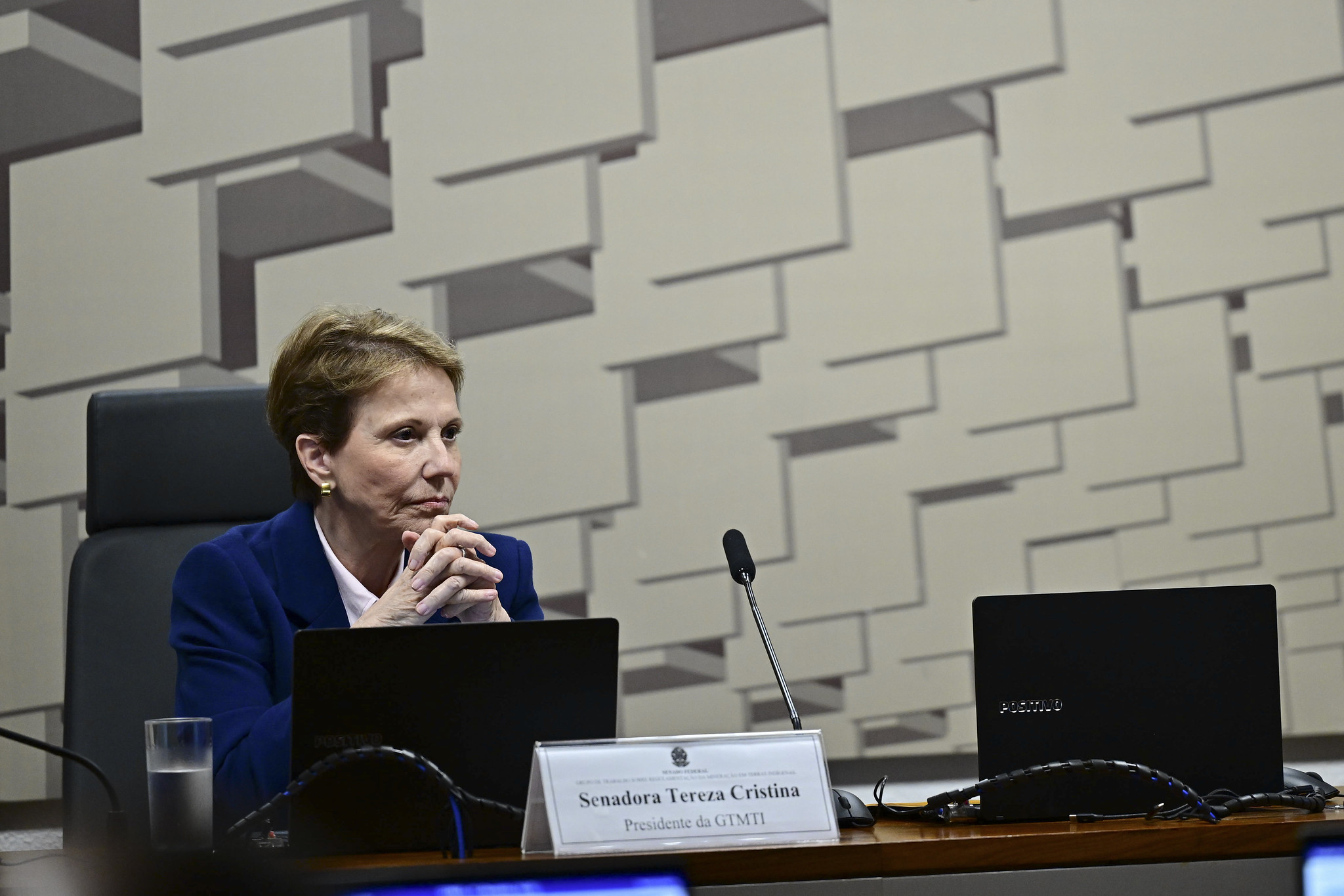 Tereza Cristina promete Código Florestal traduzido para embaixadora da UE