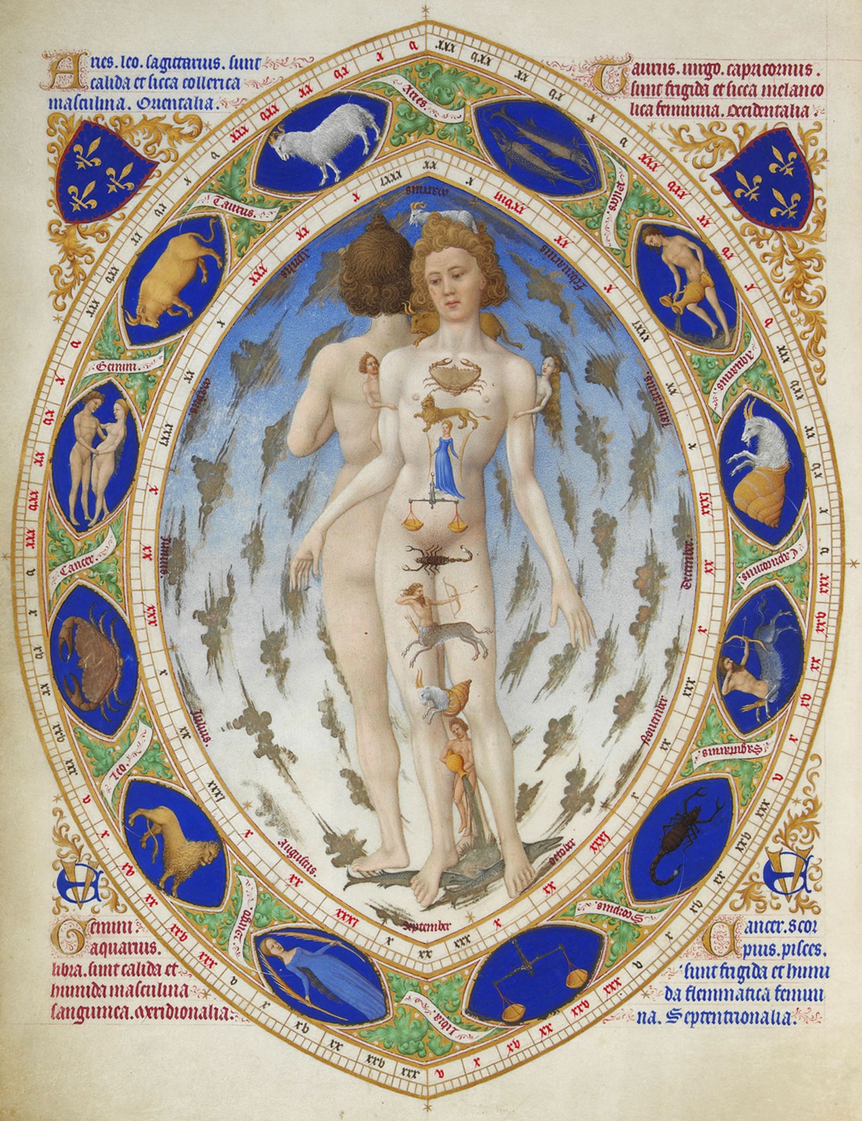O Homem Zodiacal Anatômico em Les Très Riches Heures du Duc de Berry (1413–1416), iluminura em pergaminho