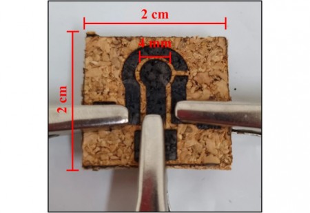 Cientistas transformam cortiça em detector de aditivo tóxico em vinhos, sucos e água