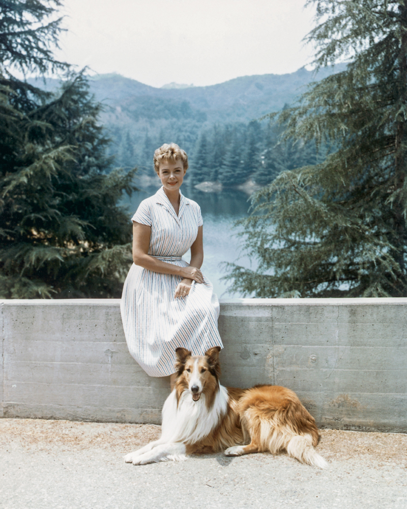 RETRATO DE UM TEMPO&ensp;- June Lockhart: figura central em Lassie e Perdidos no Espa&ccedil;o, nos anos 50 e 60