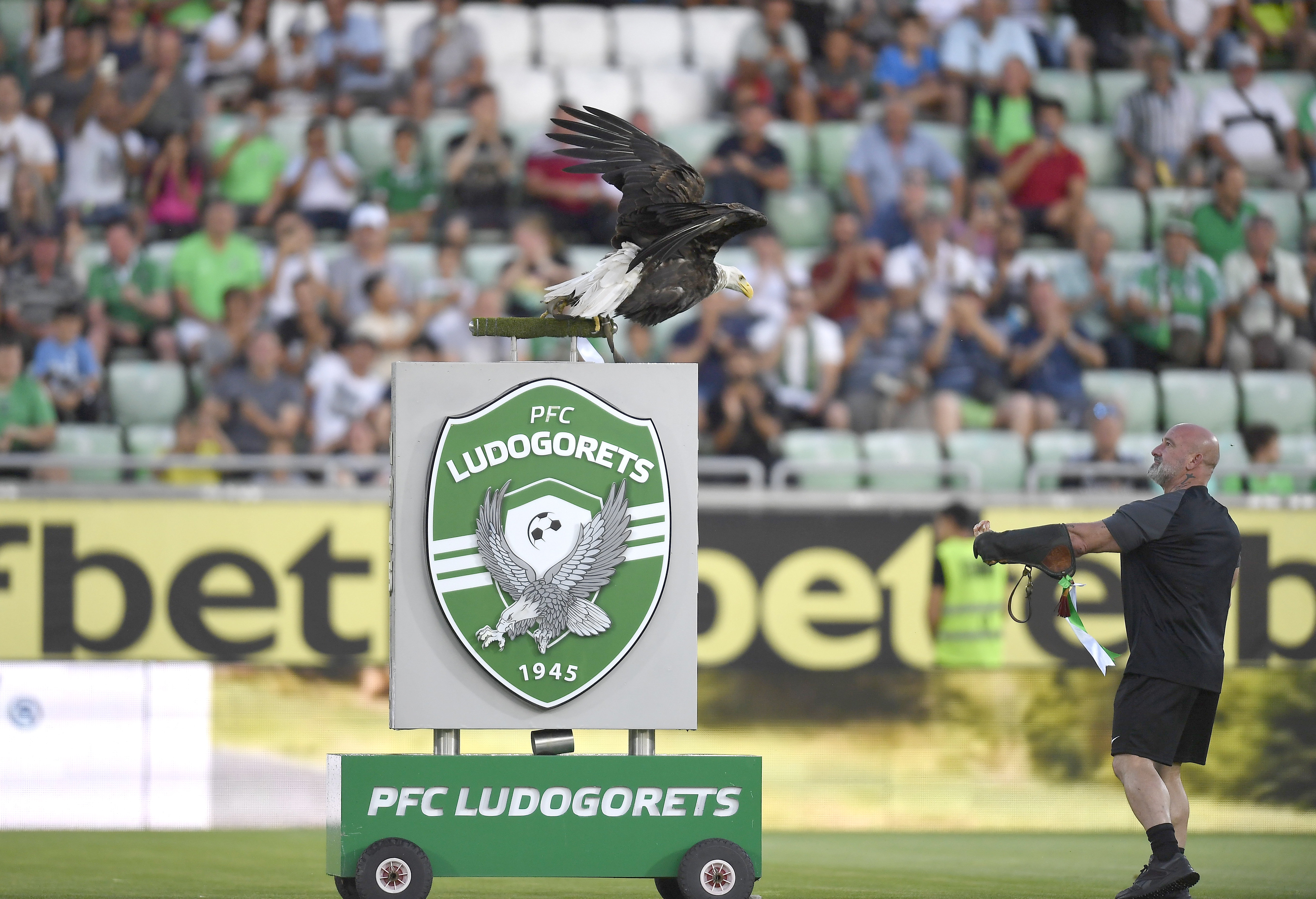 Imagem da notícia - VEJA