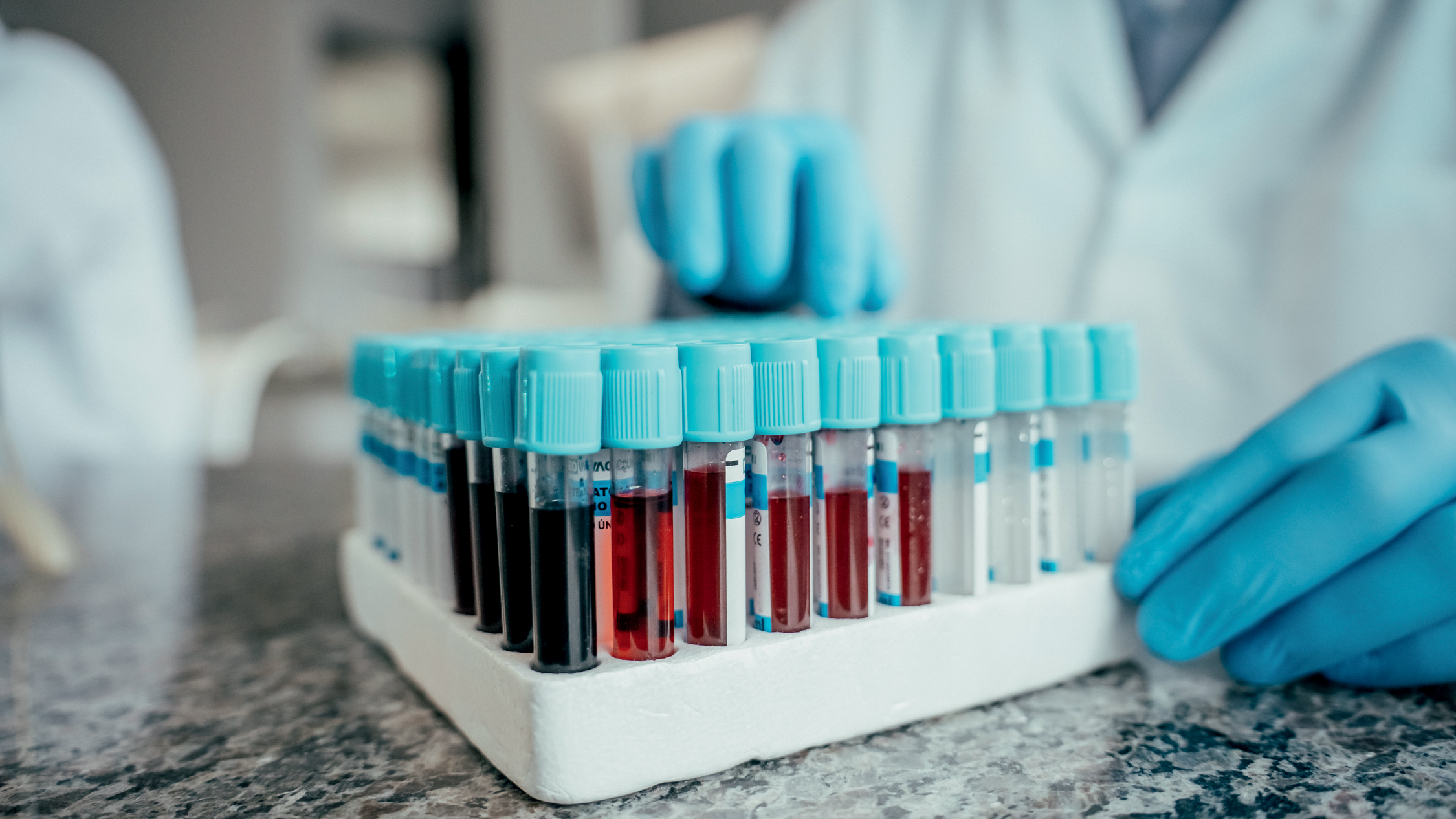 OTIMIZAÇÃO - Resultados mais rápidos: a análise de dados poupa tempo e define algumas certezas