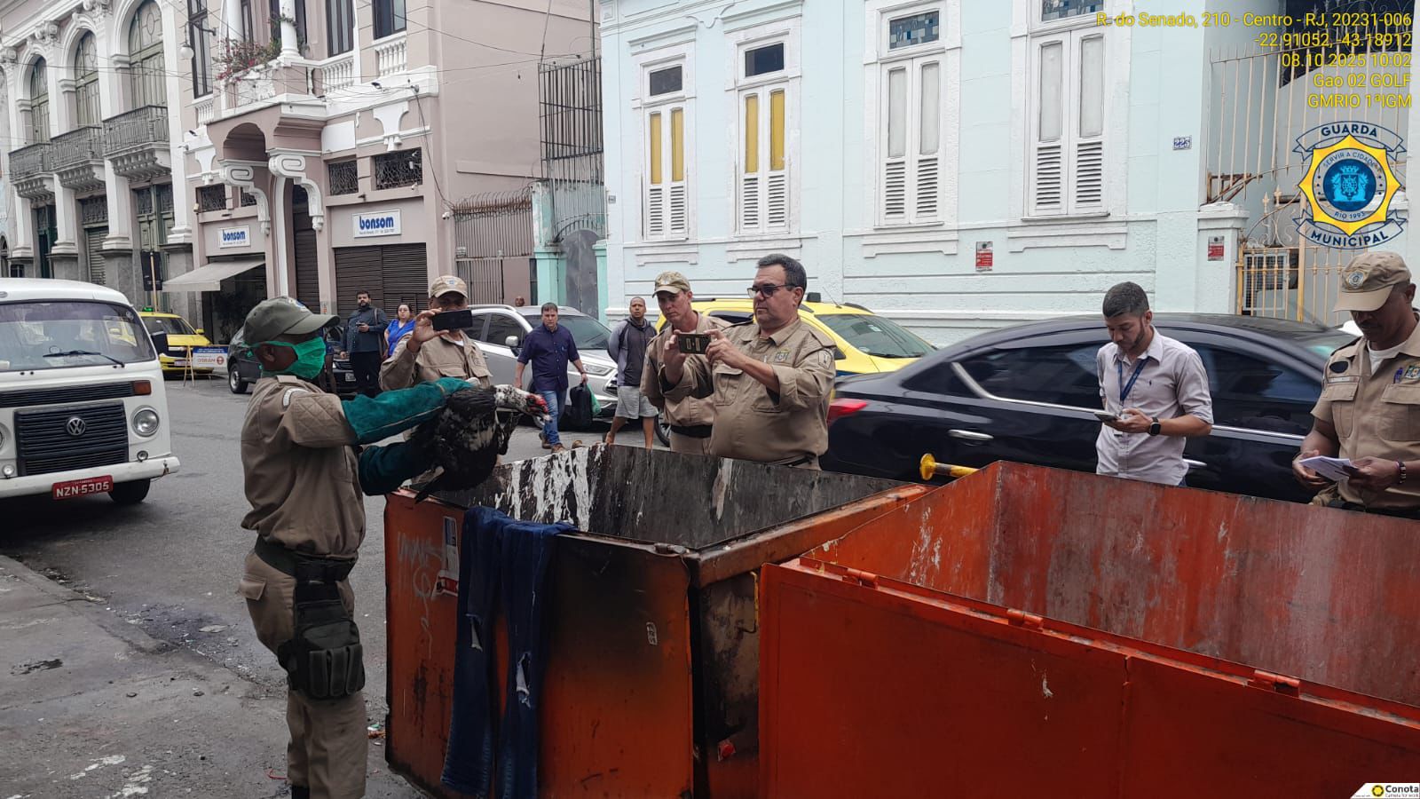 Aves resgatadas podem ser as que desapareceram do Parque Guinle, diz Prefeitura do Rio.