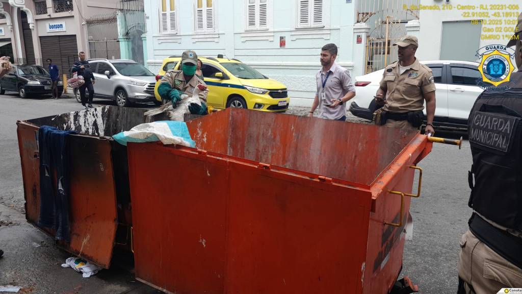Prefeitura do Rio resgata patos e ganso em caçamba de lixo; aves podem ser do Parque Guinle