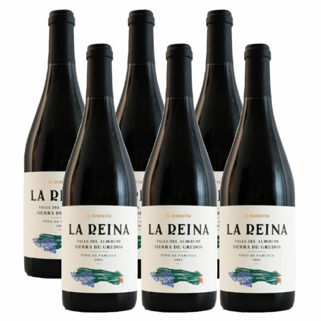el-reventon-la-reina-x6-ec8a92cb6748fc9bef17525963745980-1024-1024 La Reina, um dos dois rótulos da vinícola El Reventón vendidos no Brasil