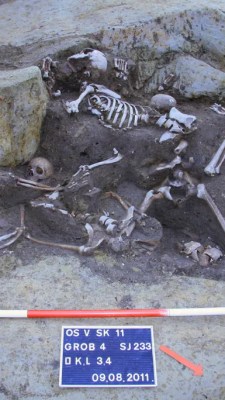 . © 2025 Novak et al. CC BY 4.0