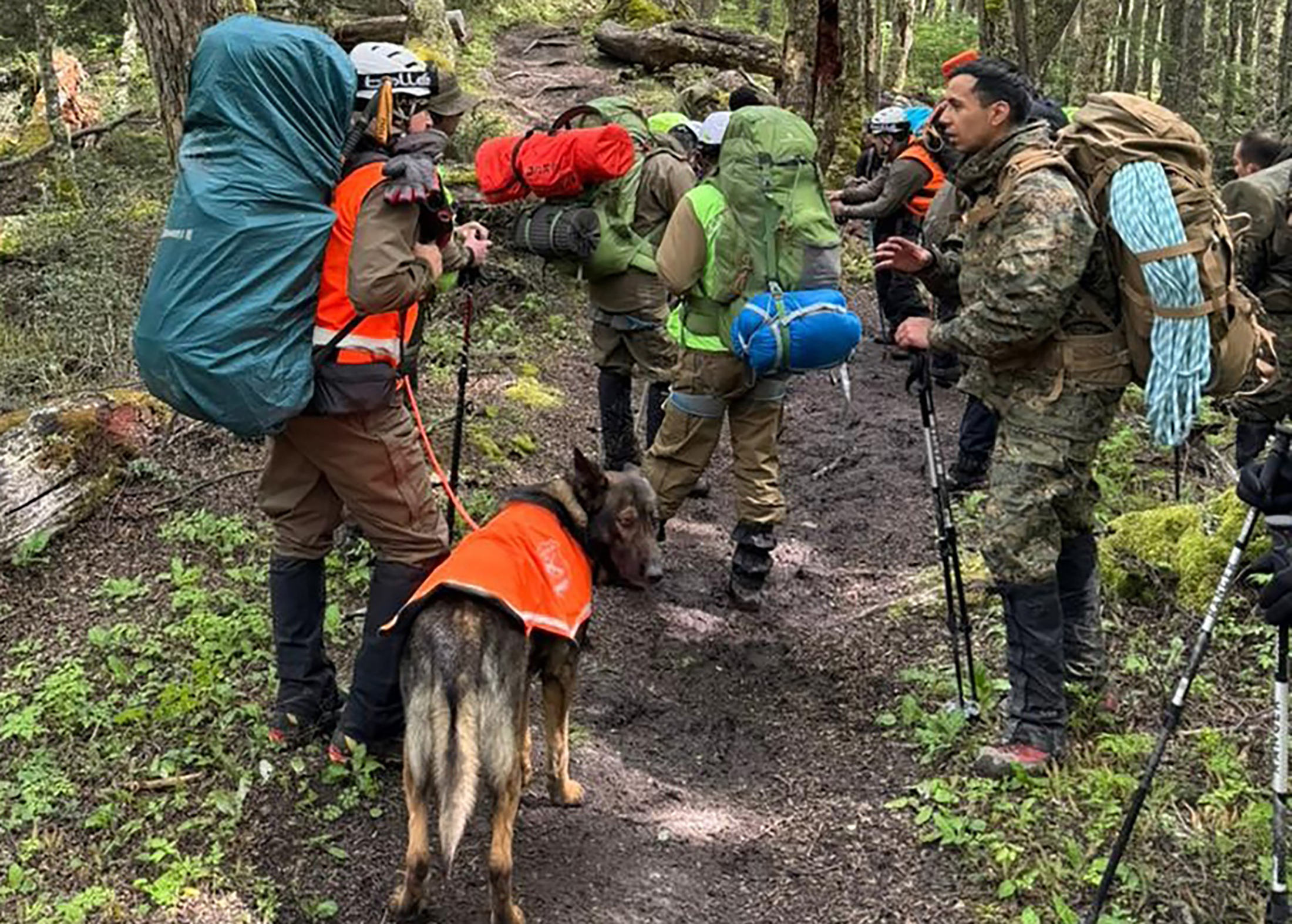 Handout picture released by Chile's Carabineros, shows a rescue team searching for tourists who died in Torres del Paine, Magallanes Region on November 18, 2025. Five foreign tourists: two Mexicans, two Germans and a Brit, died when a blizzard hit the Patagonian Torres del Paine nature reserve, Chile's most visited foreign tourist spot, authorities said Tuesday. (Photo by Handout / CHILE'S CARABINEROS / AFP) / RESTRICTED TO EDITORIAL USE - MANDATORY CREDIT