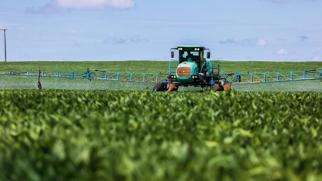 Em meio à escalada protecionista no mundo, guerra tarifária ecoa na COP30