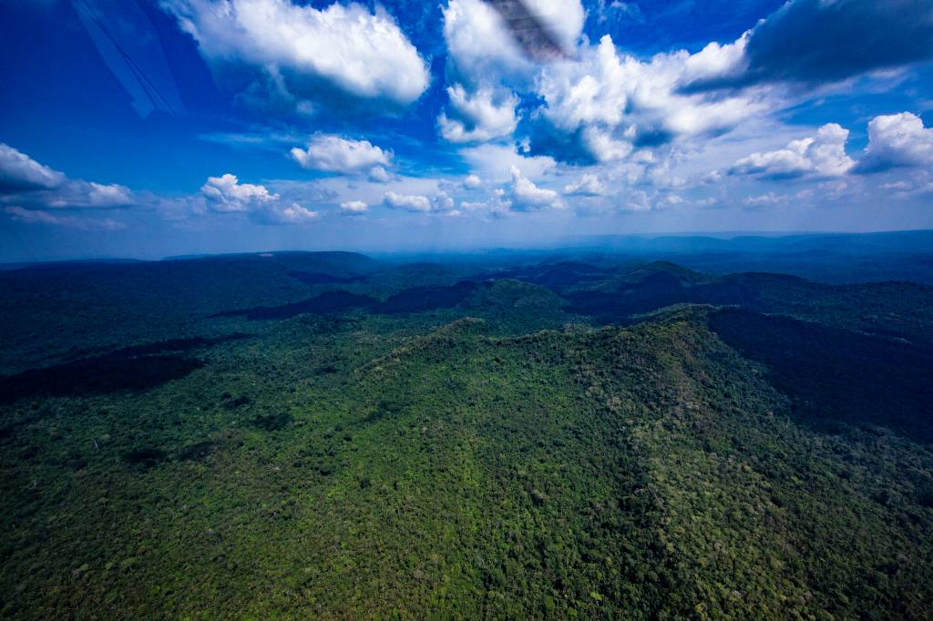 Noruega promete US$ 3 bi para fundo de florestas