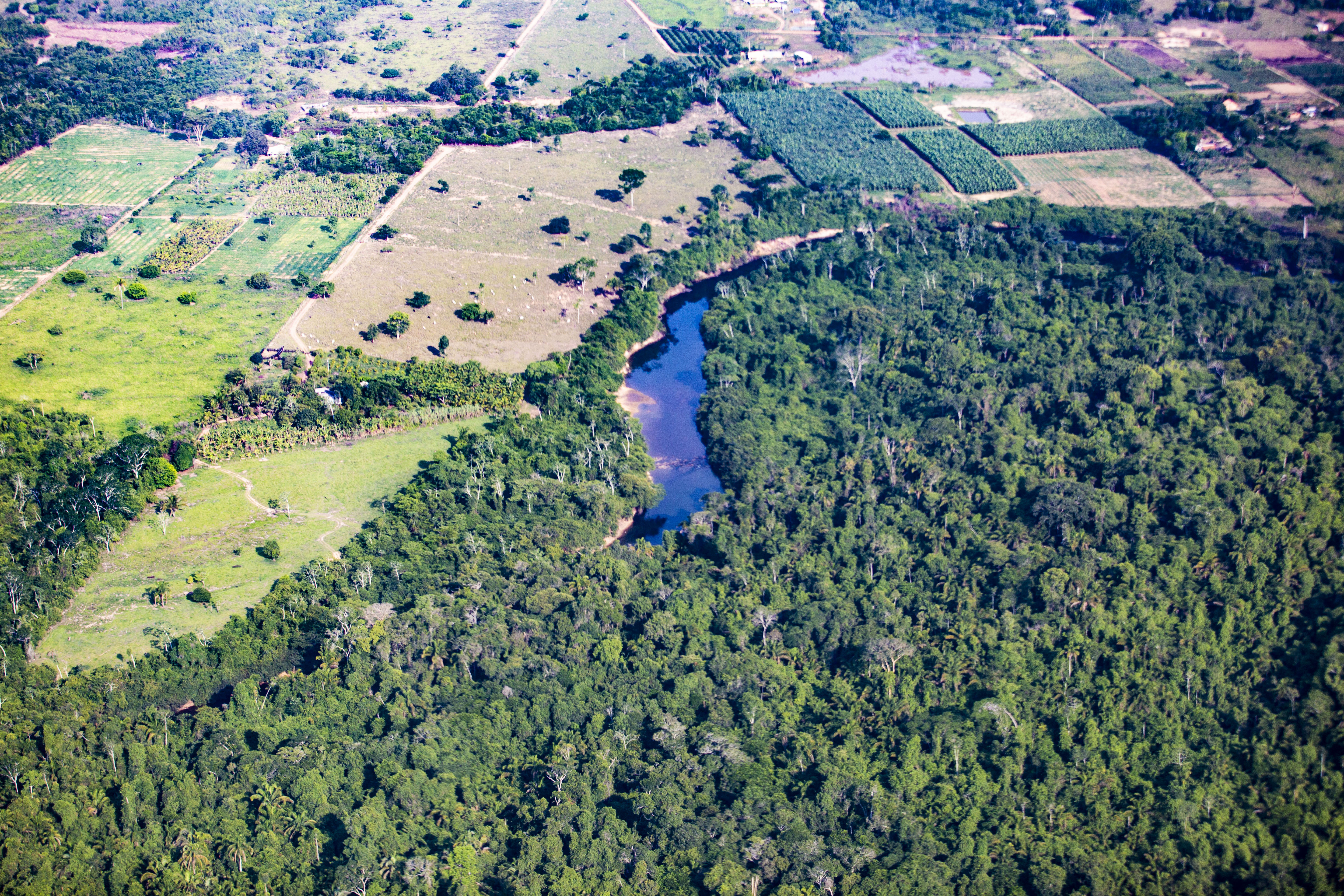 Do alto d&aacute; para ver o estrago: dentro dos limites da Floresta Nacional a mata permanece intocada. No entorno, cedeu lugar ao pasto