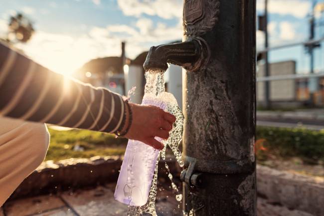 Com feira de produtos sustentáveis, oficina de culinária regenerativa e uma série de shows, o Summit tem entrada gratuita