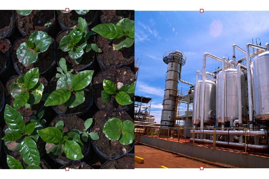 COP 30: o Brasil entre a retórica e a liderança