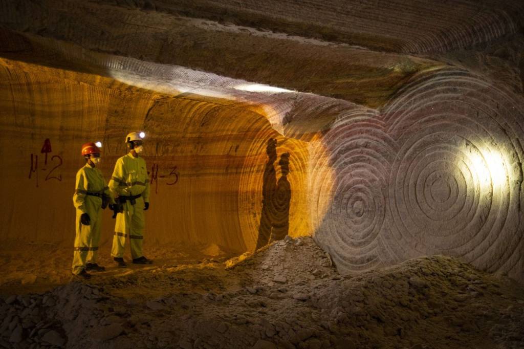 Irmã de Wesley e Joesley Batista arremata única mina de potássio do país
