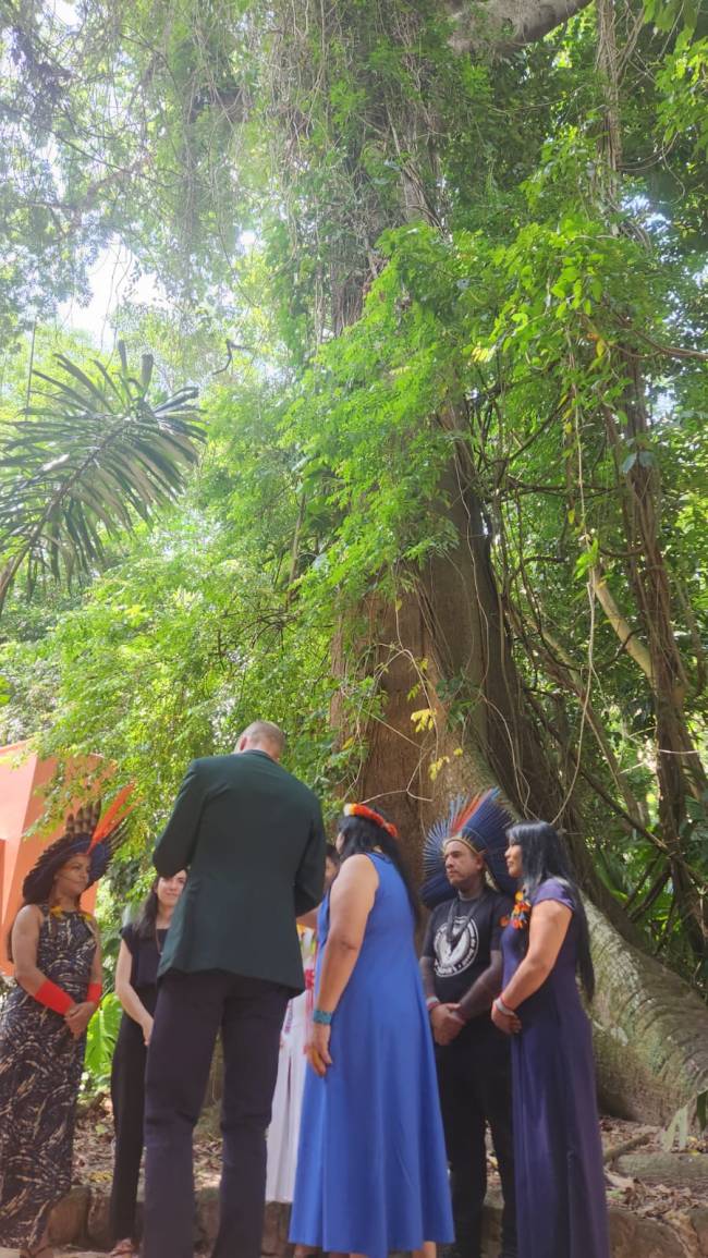 William ouve lideranças indígenas aos pés da samaúma, árvore mais antiga do Parque Goeldi, em Belém, nesta sexta-feira, 7 de novembro de 2025