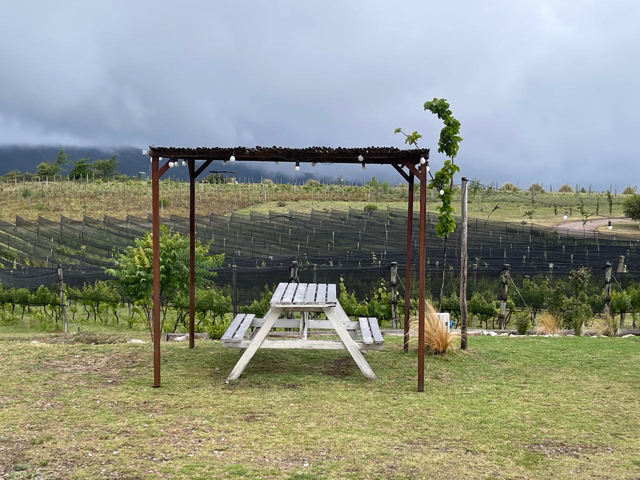 Vinhedo Nébula, na cidade de La Falda: cenário encantador e almoço harmonizado com vinho