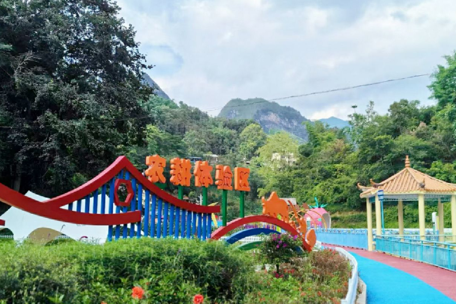 O chá que virou diplomacia: Malipo vira vitrine verde da China na COP30