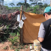 Para cada pessoa resgatada do trabalho escravo no país, 360 permanecem