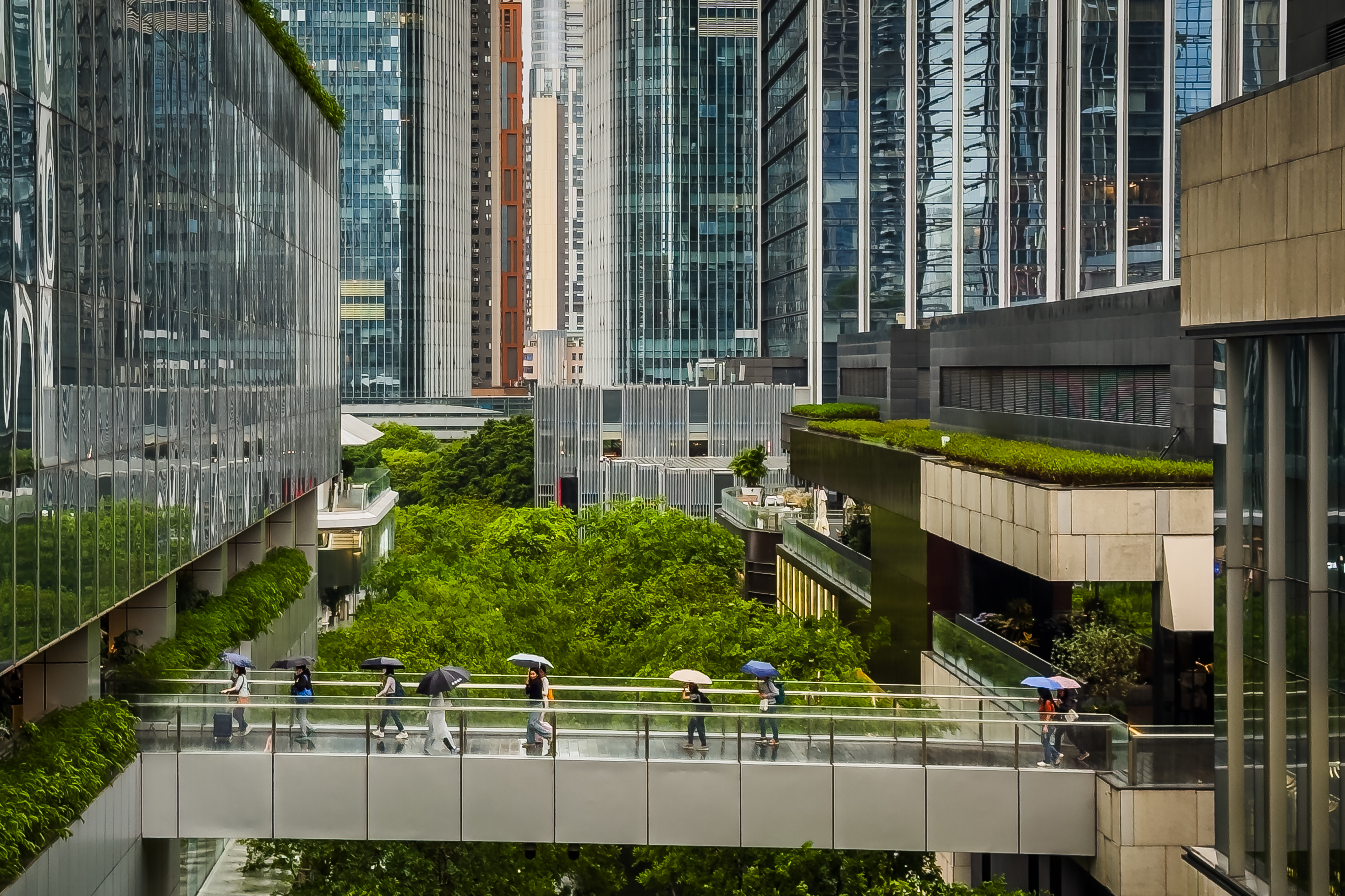 Passarela em &aacute;rea central de Shenzen, China, cercada de verde: cidade &eacute; exemplo de pol&iacute;tica p&uacute;blica ambiental