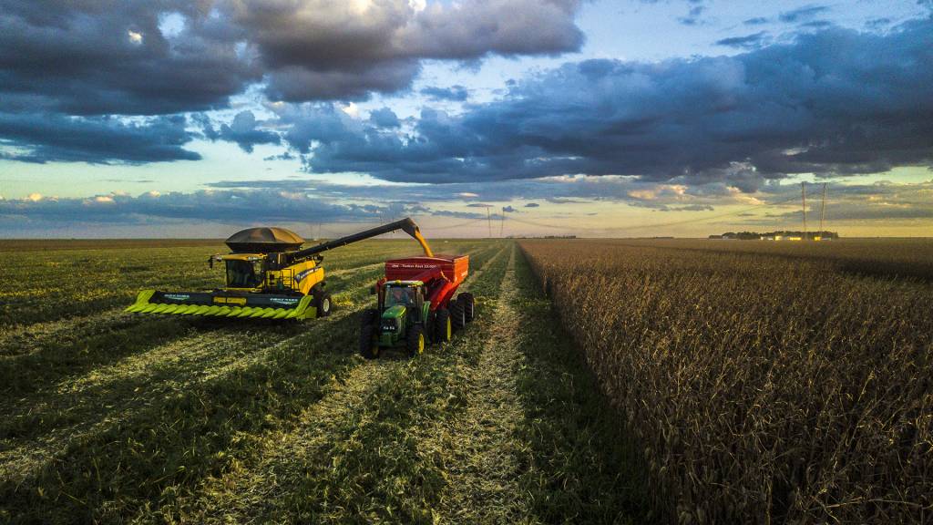 A importância do setor financeiro para um futuro mais verde no campo