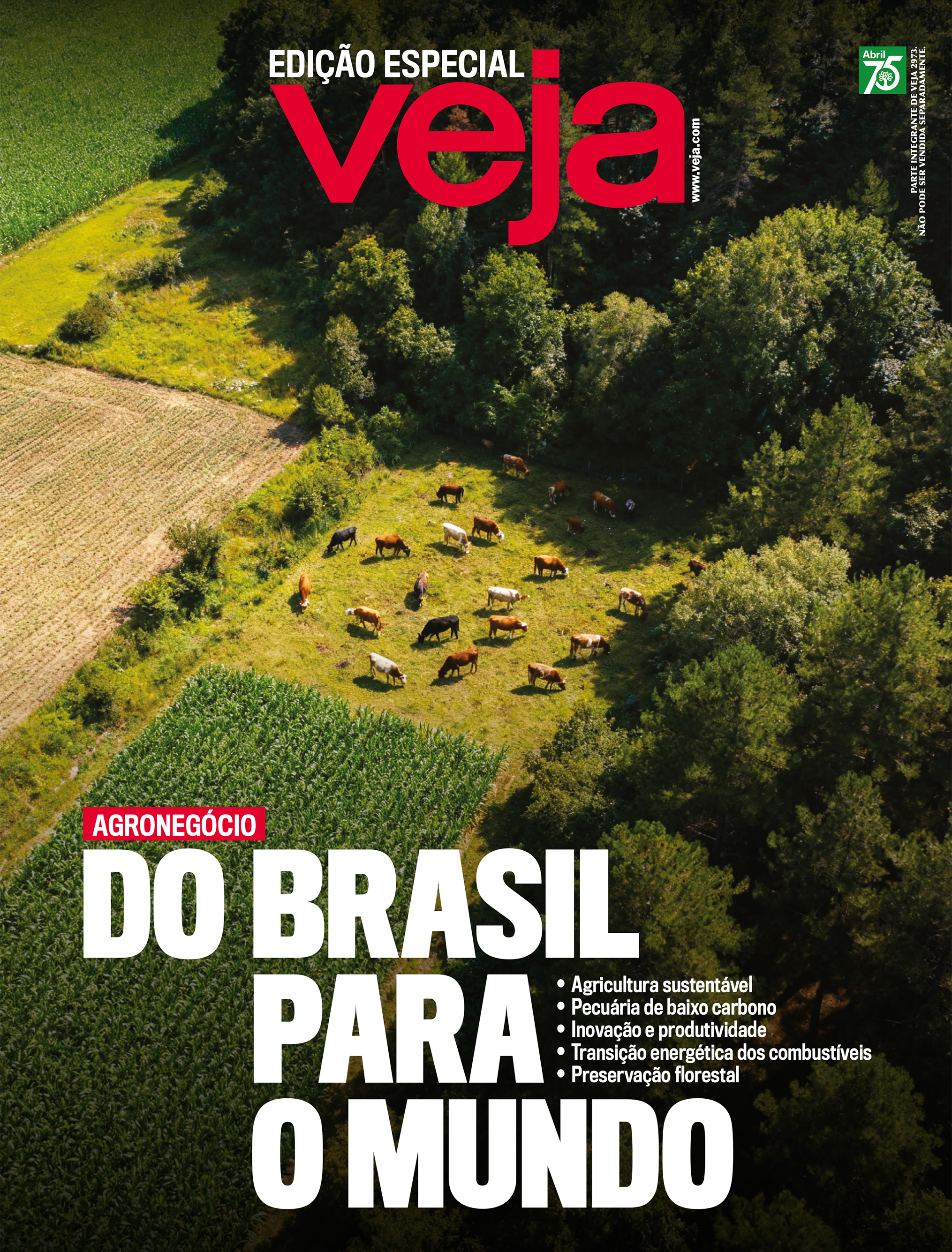 A liderança brasileira para um futuro mais verde no campo