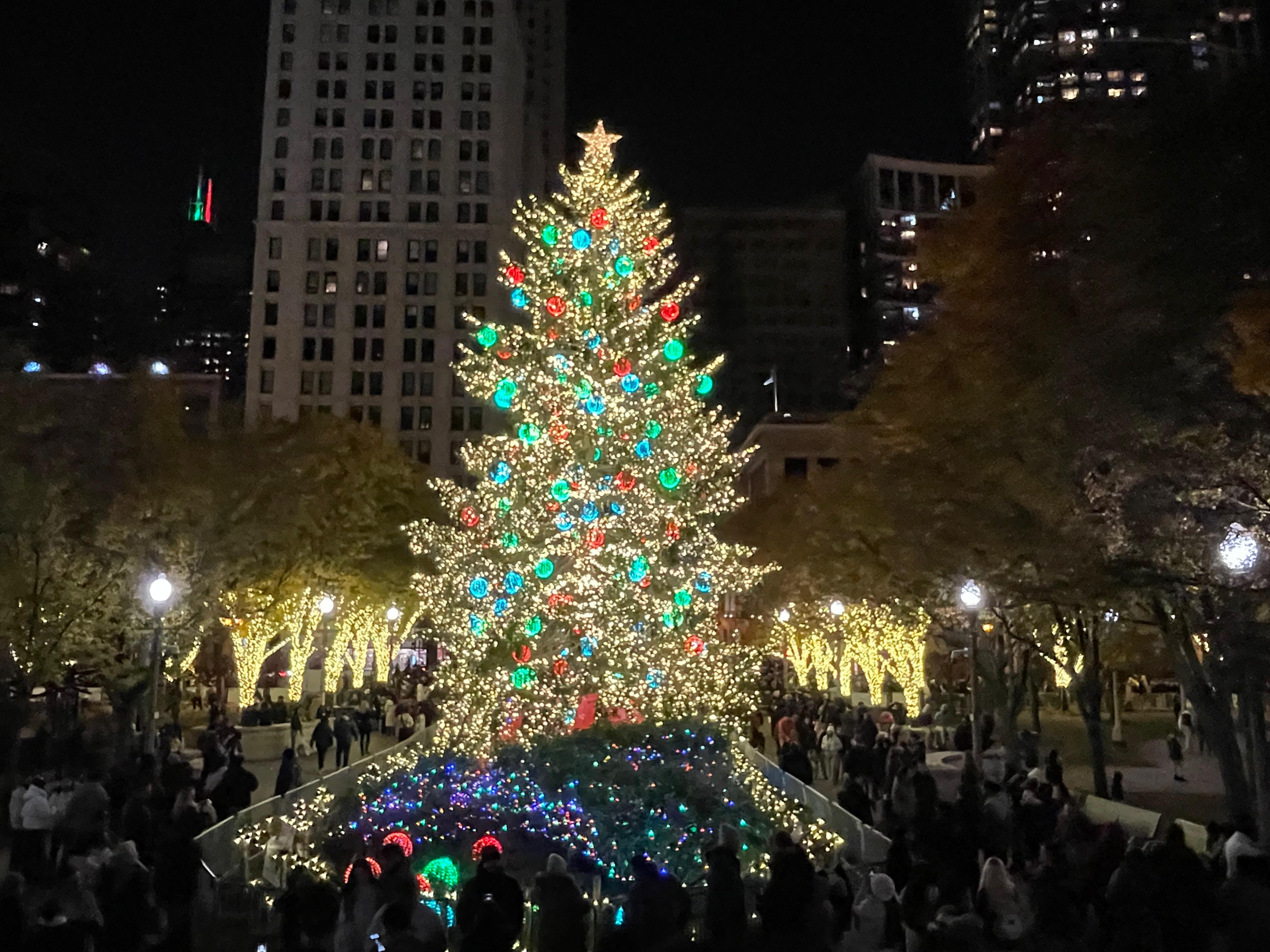 Árvore de Natal oficial da cidade: sua iluminação, no fim de novembro, marca o início da temporada de festas