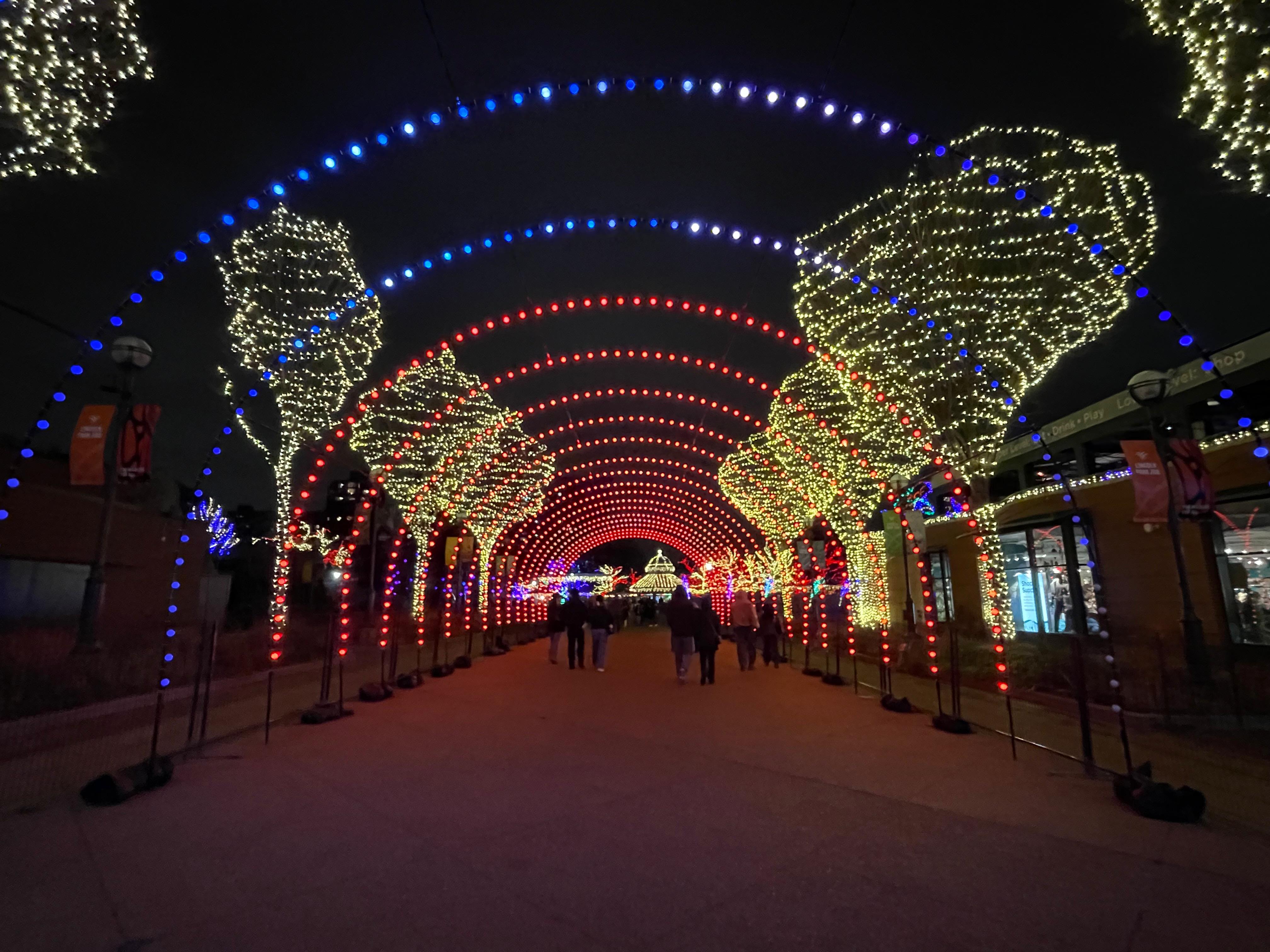 Percurso iluminado: a cada fim de ano, o zoológico do Lincoln Park também recebe milhões de luzinhas