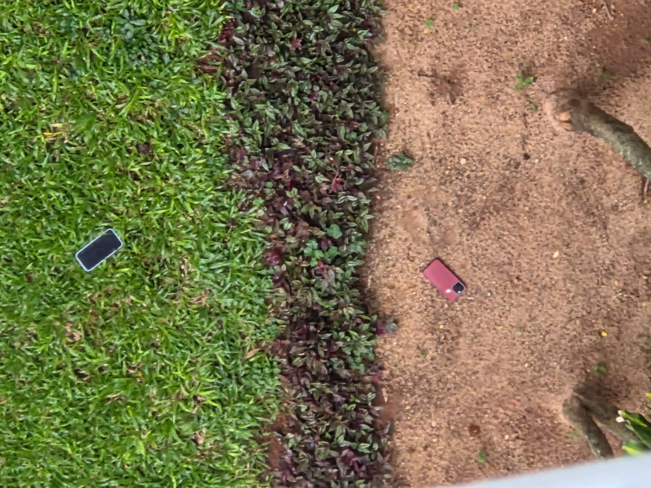 PF cumpre mandado contra deputado e acha celulares na grama