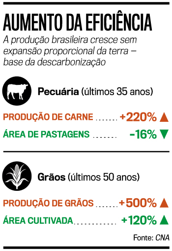 arte descarboniza&ccedil;&atilde;o