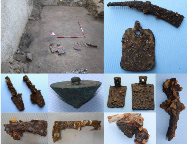 Masic et al., Nature Communications (2025)