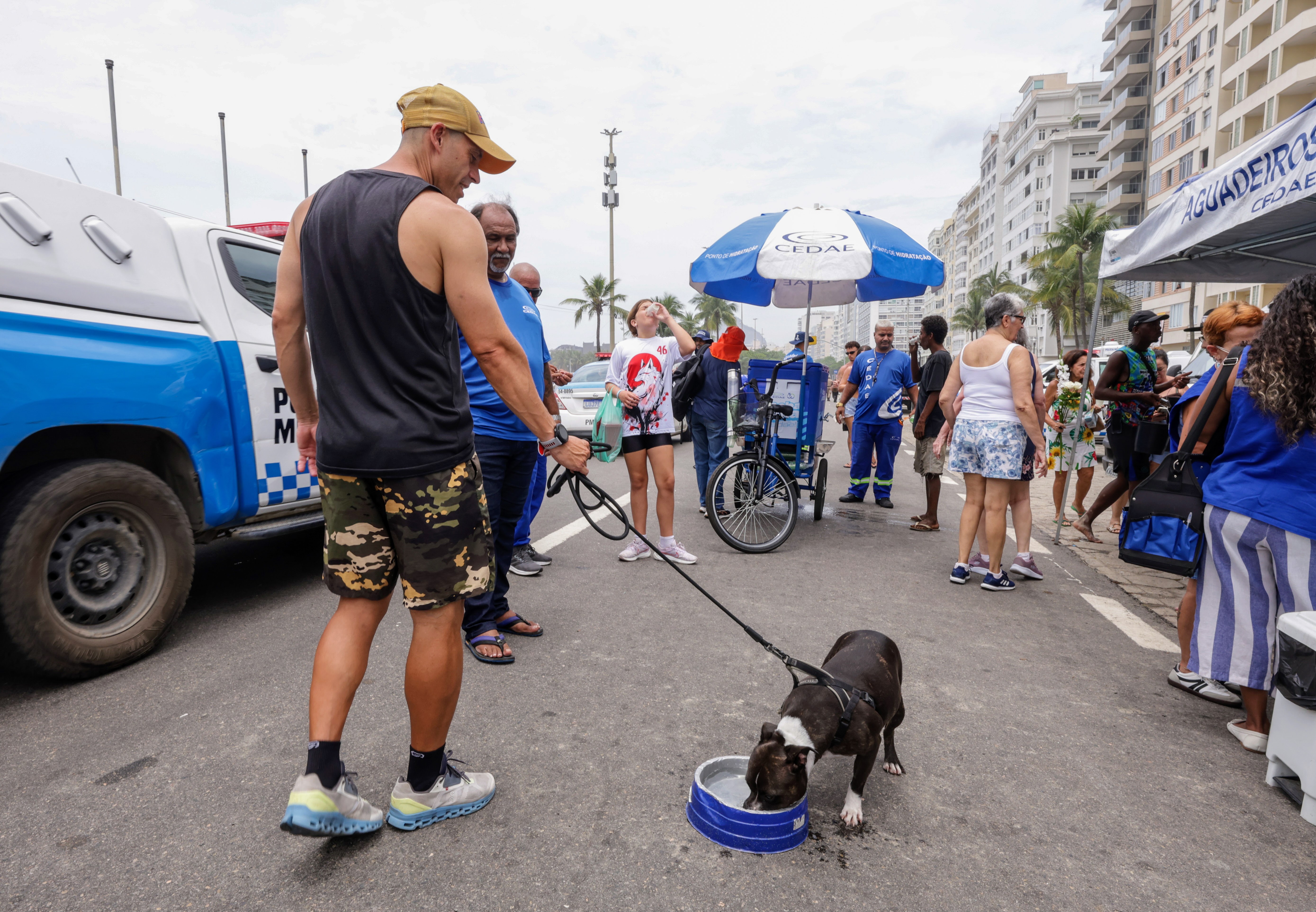Cão também mata a sede em pontos de hidratação da Cedae