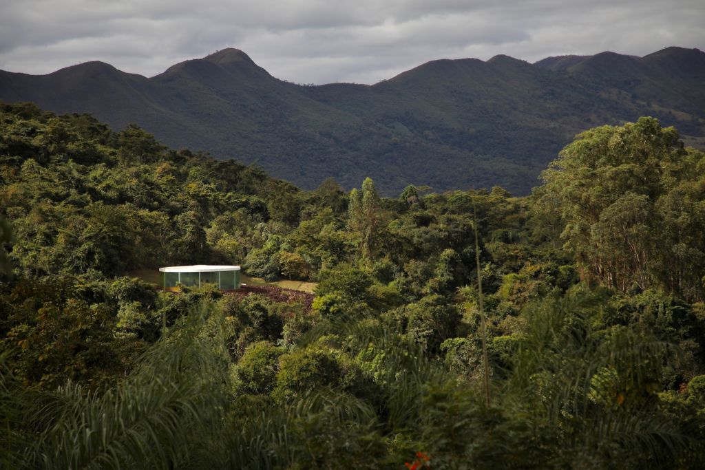 Sonic Pavillion, um dos principais destaques entre as galerias do Inhotim