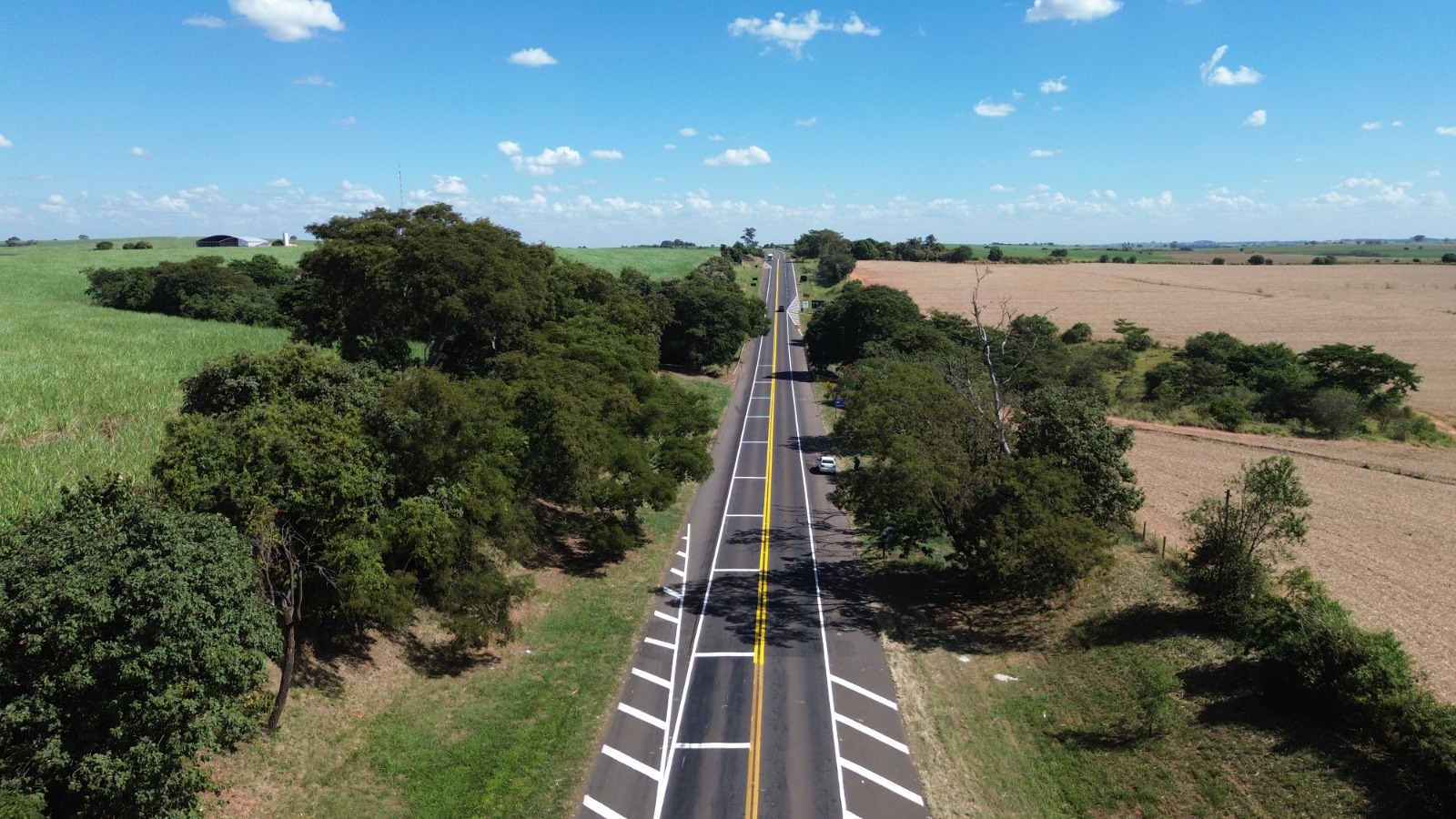 WhatsApp Image 2026-01-15 at 16.38.12