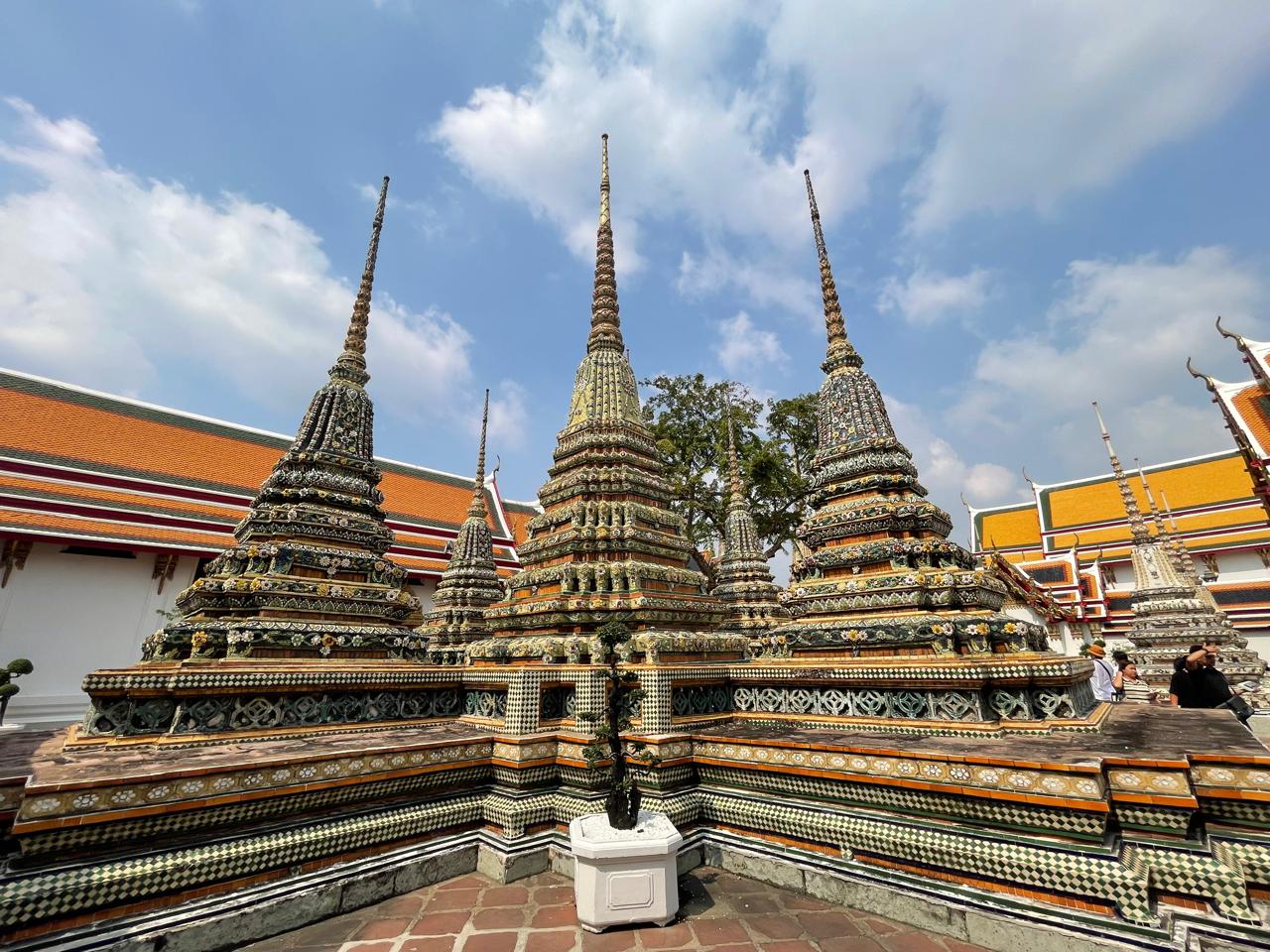 WhatsApp Image 2026-01-30 at 12.17.55 (1)