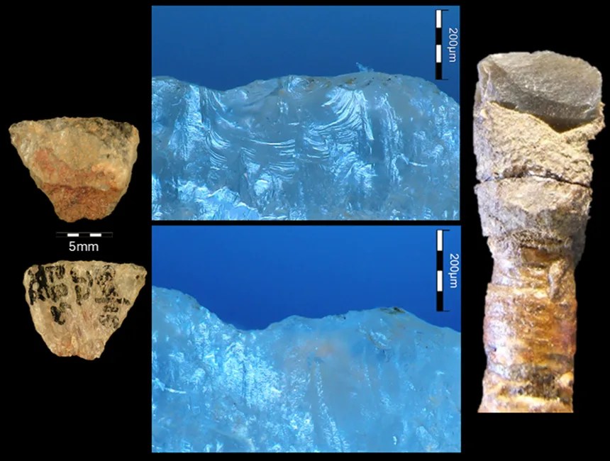 Marlize Lombard/University of Johannesburg