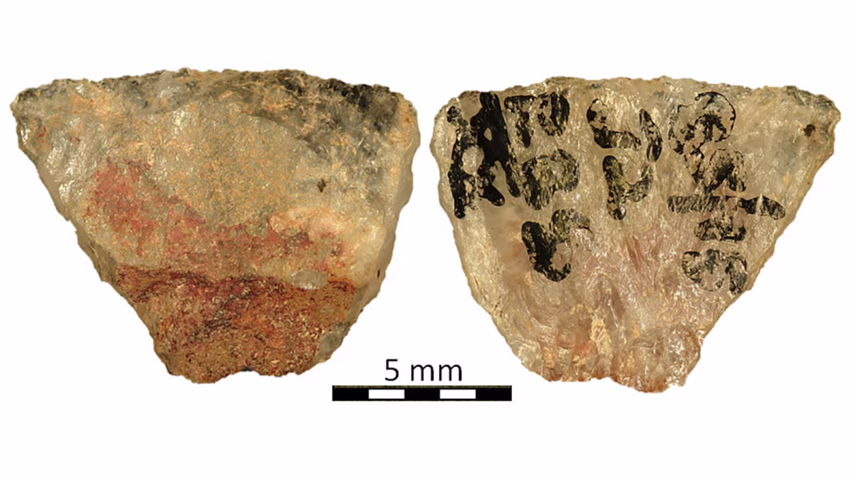 Flechas de 60 mil anos revelam uso de veneno por caçadores pré-históricos