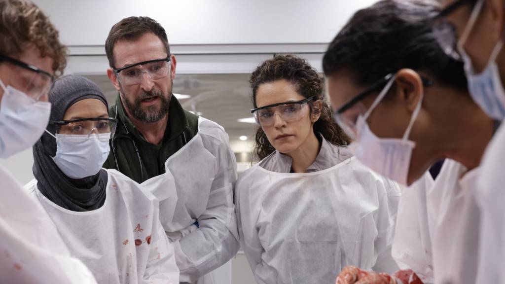 Emmy 2026: onde assistir às séries favoritas ao prêmio