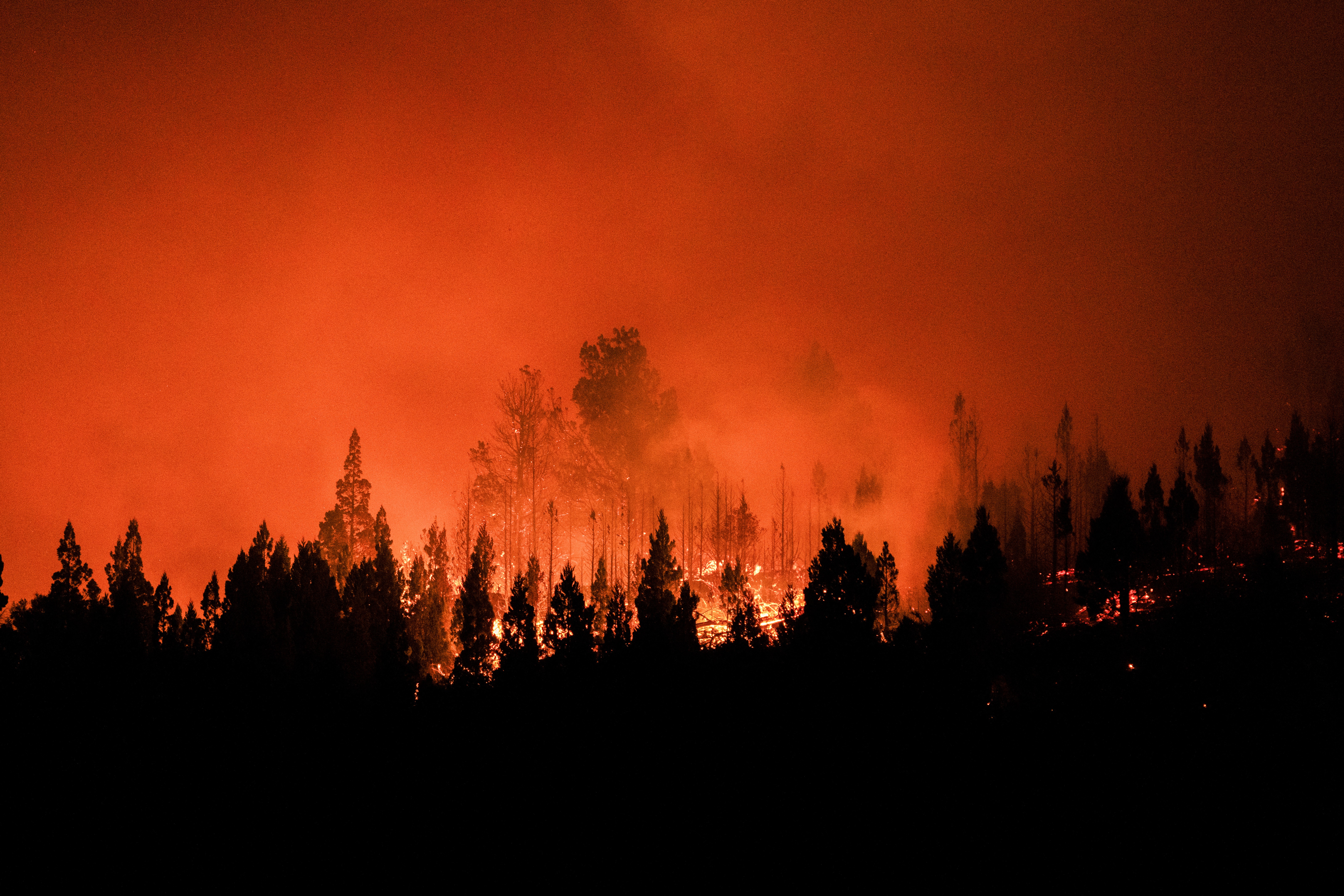 (FILES) This view shows a forest fire burning in the mountains of the rural area of Epuyen, in the Patagonian region of Chubut province, Argentina, on February 1, 2026. Climate change made the hot, dry conditions that fueled recent devastating wildfires in southern Chile and Argentina up to three times as likely, according to an analysis published on February 11, 2026 by the World Weather Attribution network of scientists (Photo by Gonzalo KEOGAN / AFP)