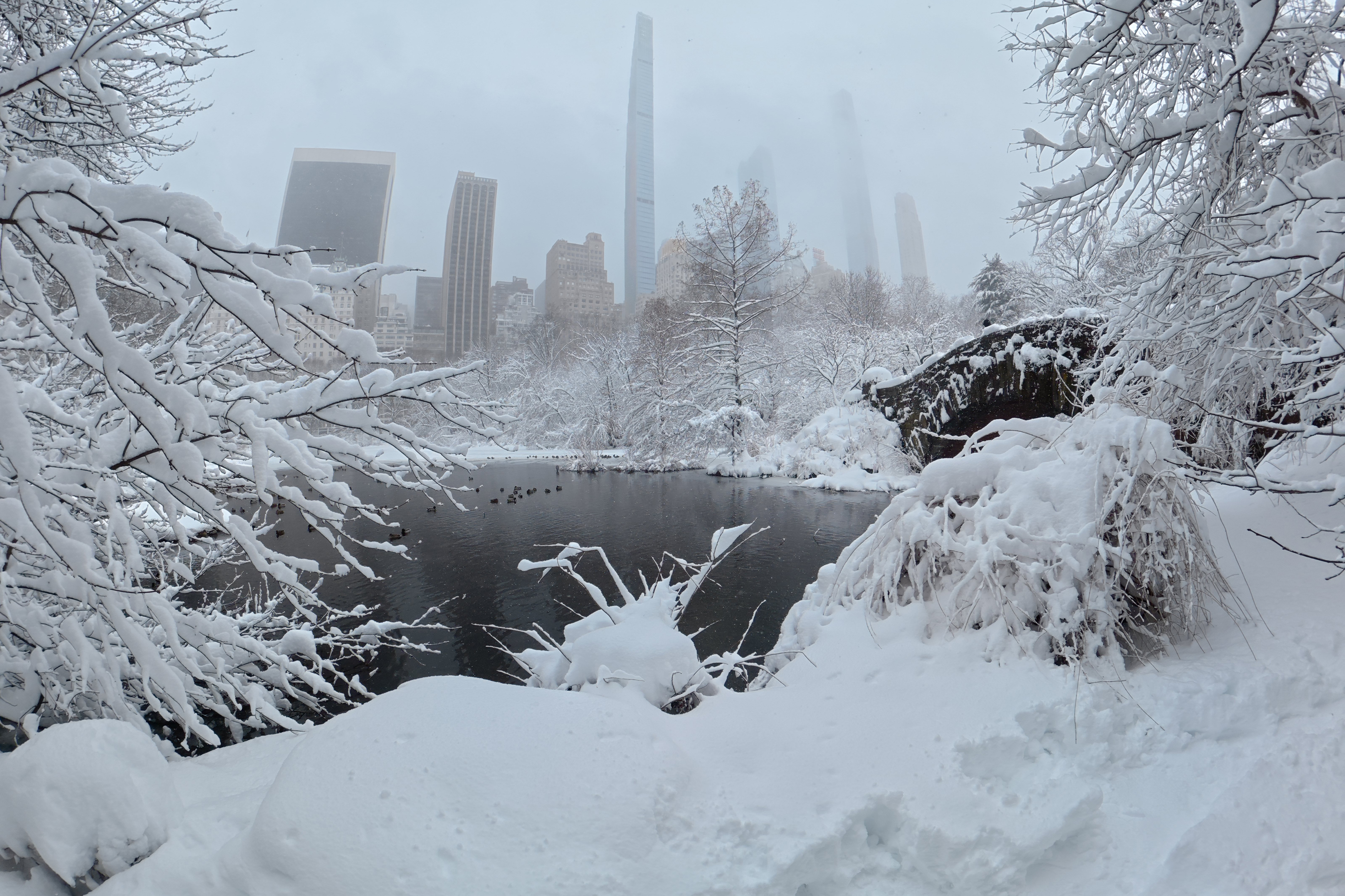 Central Park ficou completamente branco após uma forte nevasca atingir Nova York no início da semana