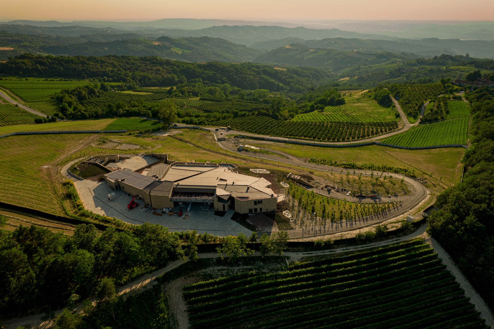 A revolução branca do maior gênio italiano dos vinhos tintos