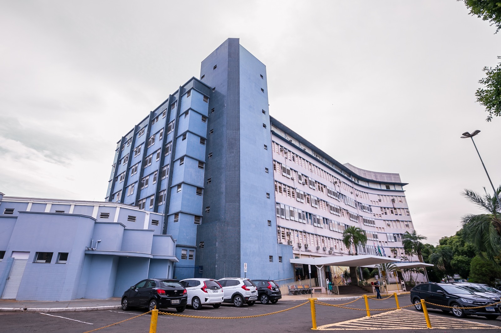 WhatsApp Image 2026-02-12 at 16.13.58