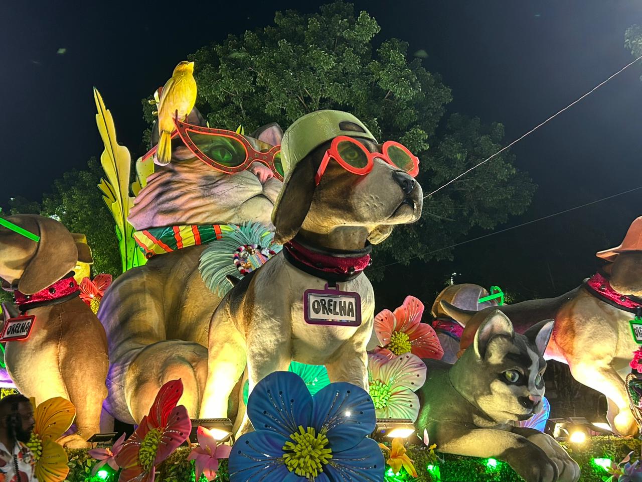 Cão Orelha é homenageado em desfile
