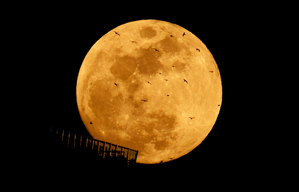 HOBOKEN, NJ - MARCH 2: Birds fly in front of the Worm Moon as it rises behind the Edge outdoor observation deck at Hudson Yards in New York City ahead of a total lunar eclipse on March 2, 2026, as seen from Hoboken, New Jersey. (Photo by Gary Hershorn/Getty Images)