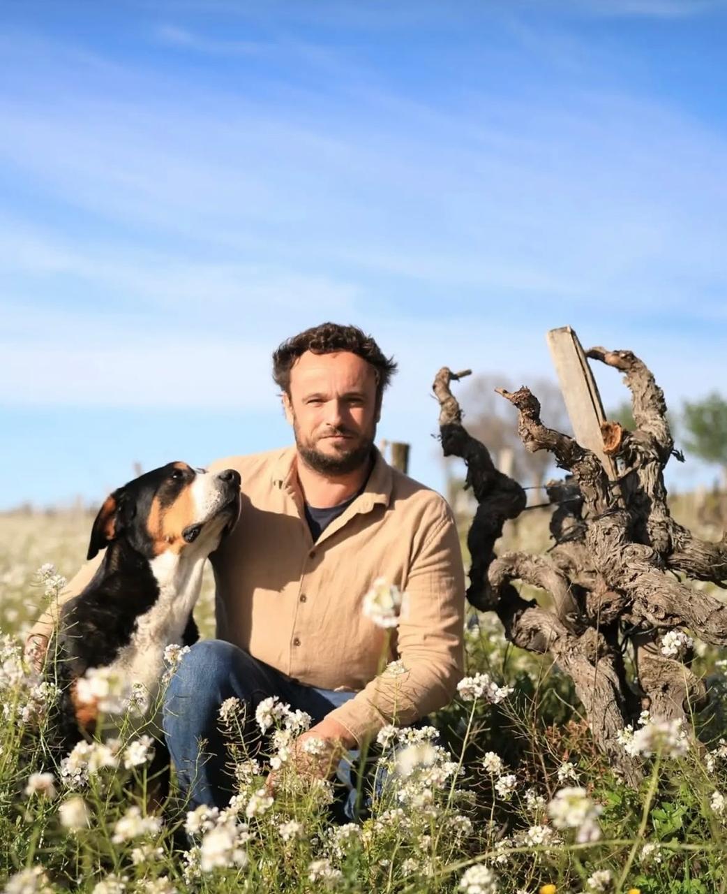 Como atualizar uma receita secular de vinho? Châteauneuf‑du‑Pape responde